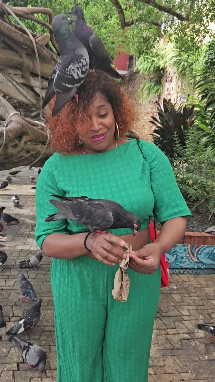 Pigeon Food and Snack Store