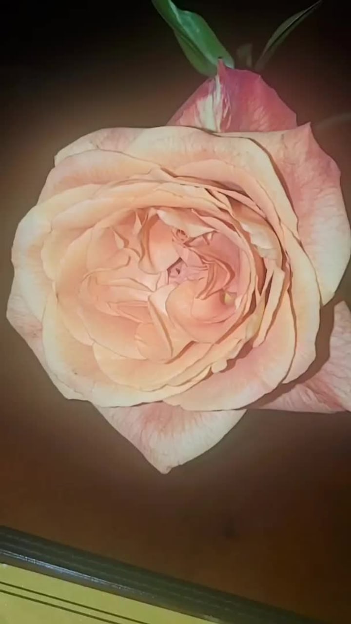 Video review of Neat Bourbon Bar & Bottle Shop