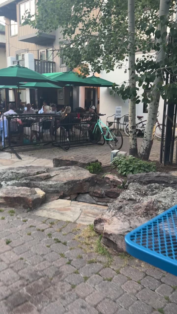 Video review of Vendetta's