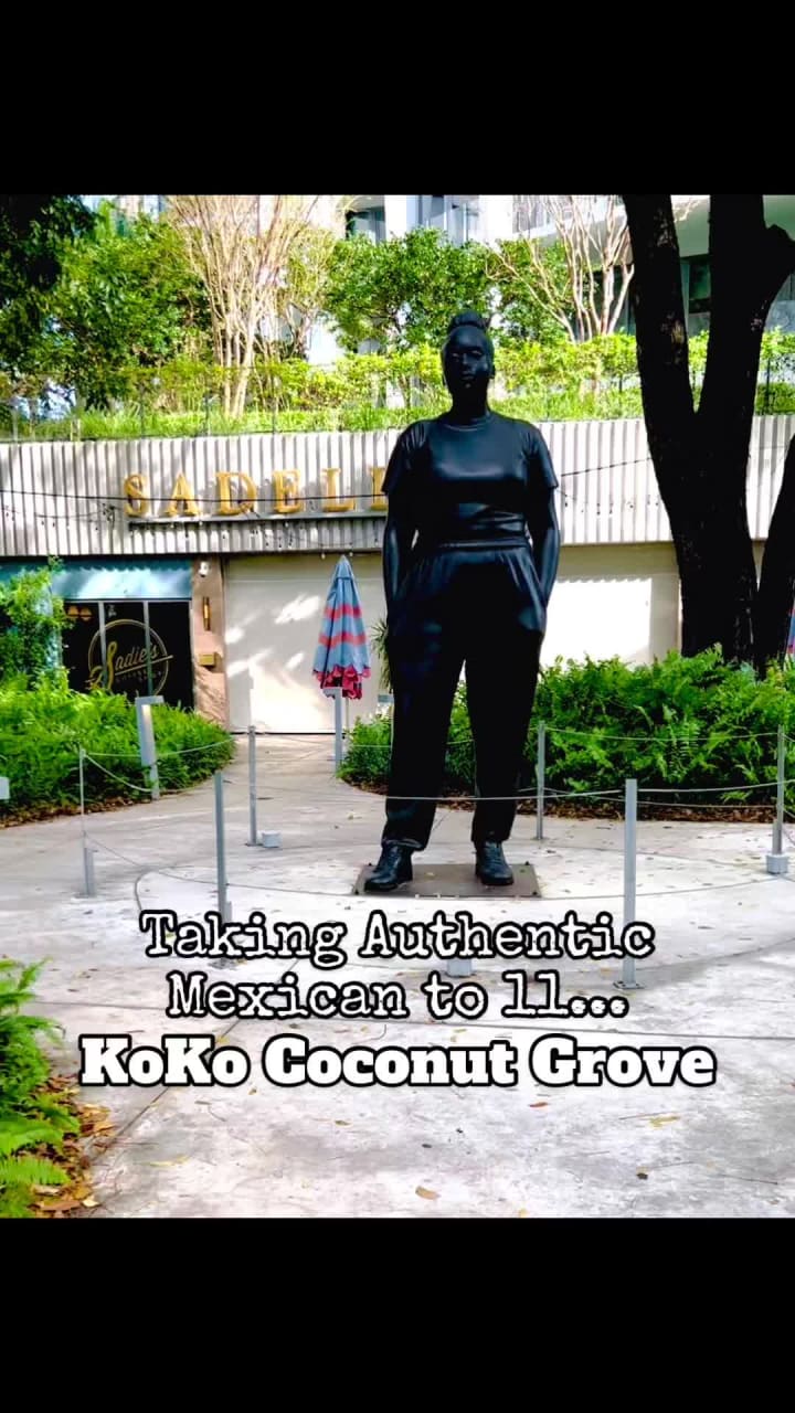 Video review of Koko