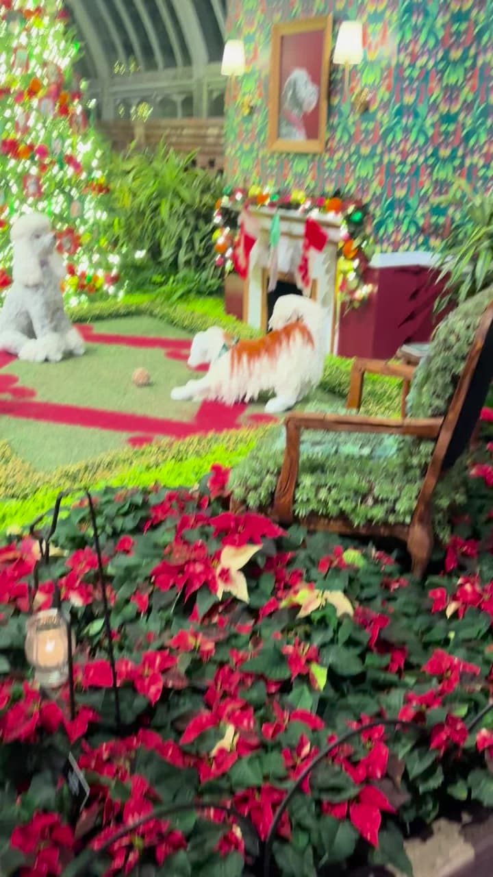 Video review of Phipps Conservatory and Botanical Gardens