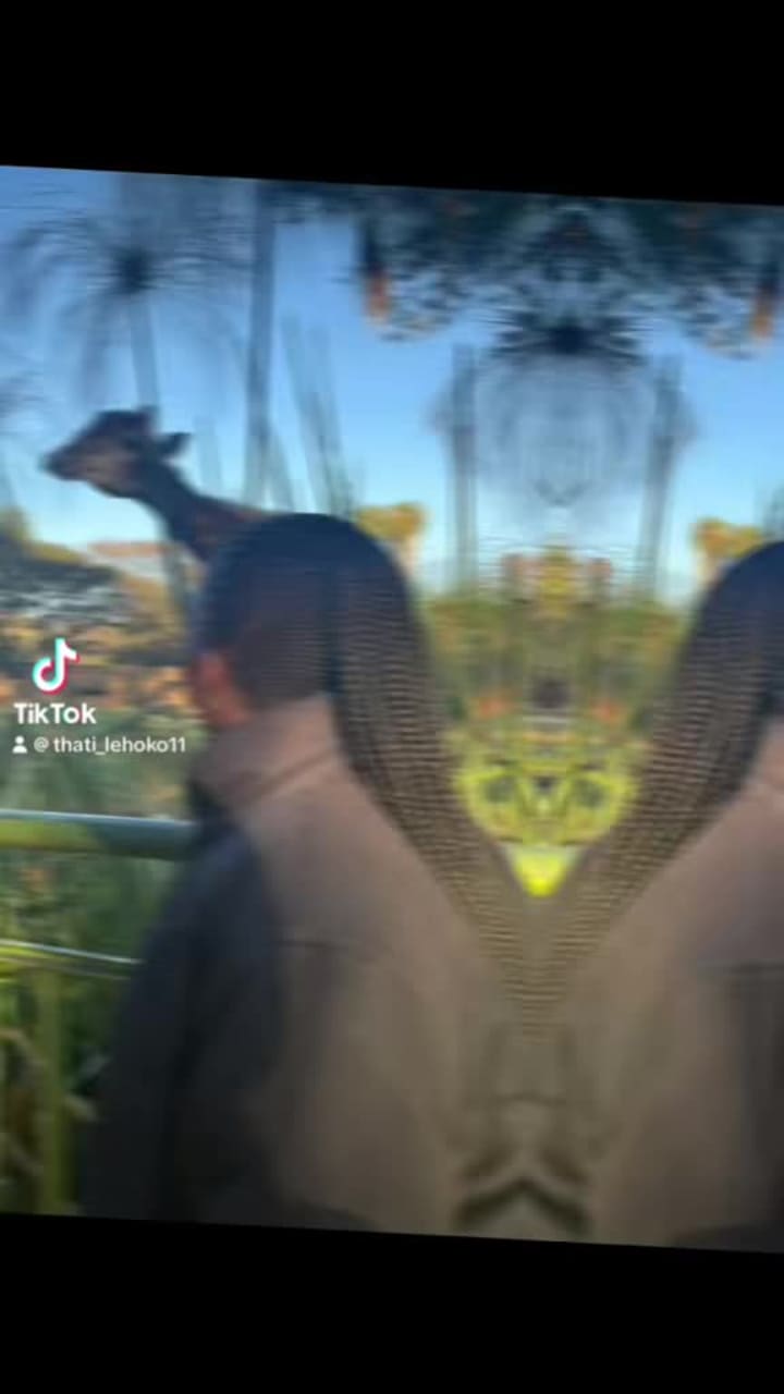 National Zoological Gardens of South Africa (National Zoological Gardens (Pretoria Zoo))