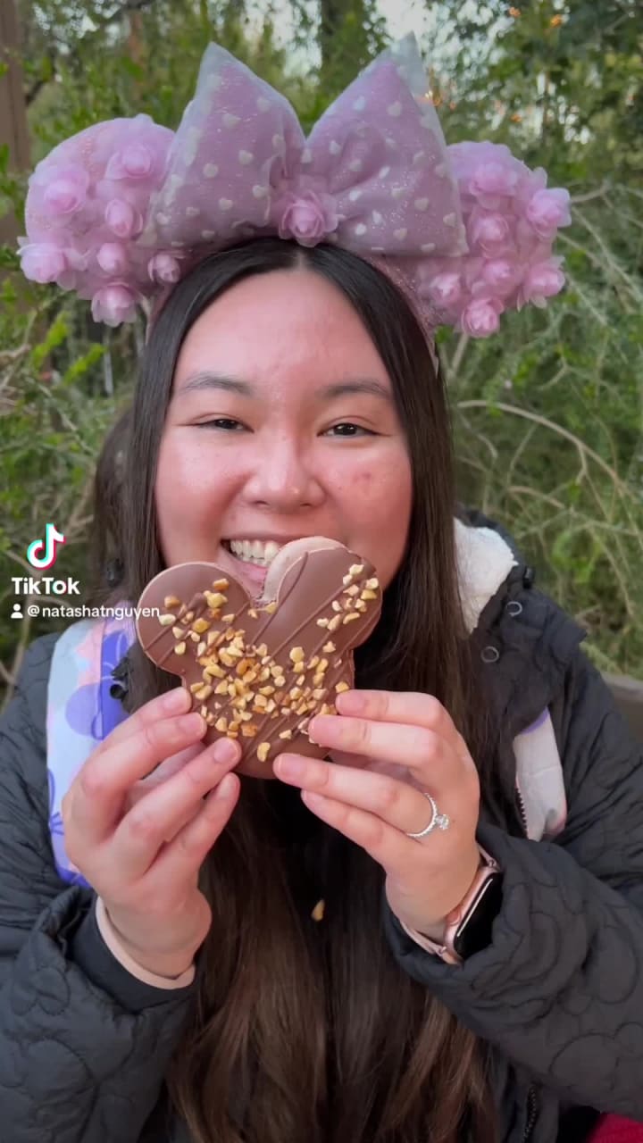 Disney California Adventure Park