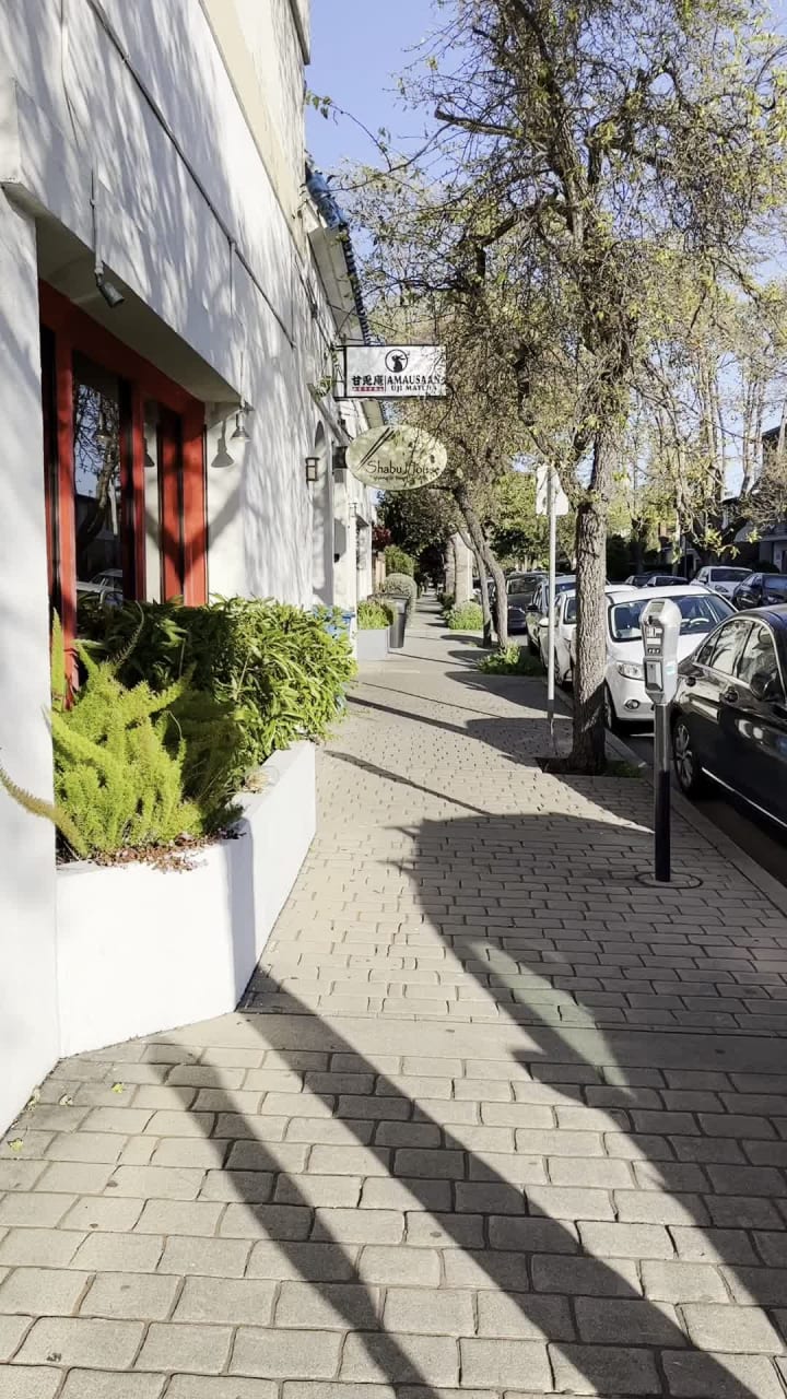 Video review of Shabu House