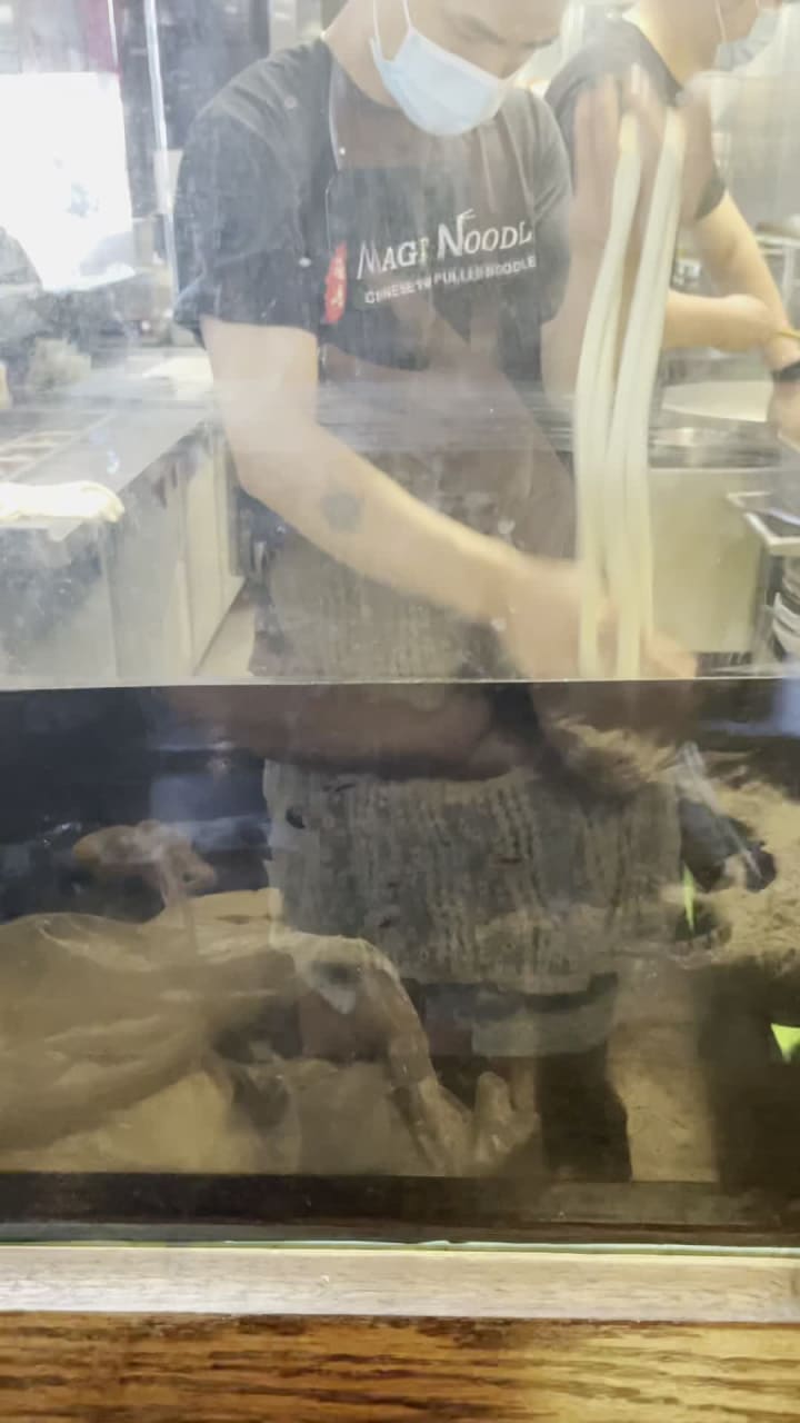 Master Noodle (Saint Paul)