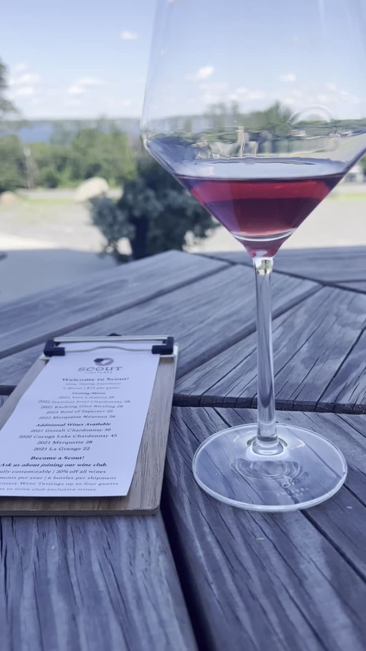 Scout Vineyards