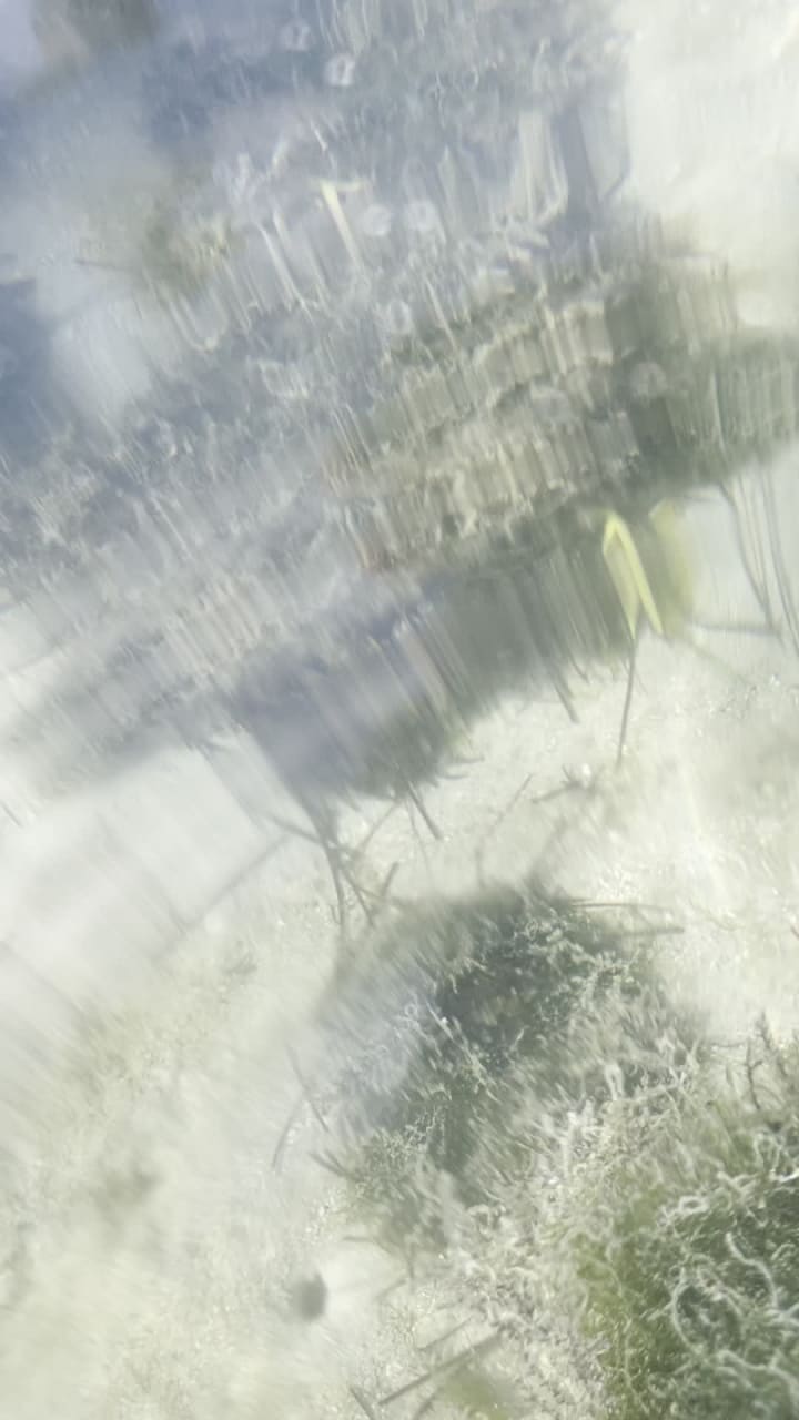 Seahorse Ranch Reserve