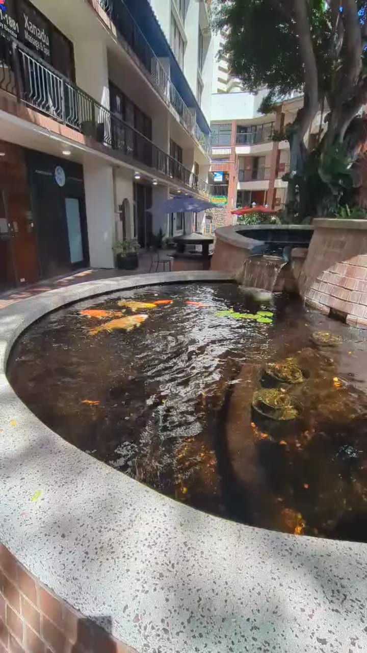 Video review of Kulu Kulu