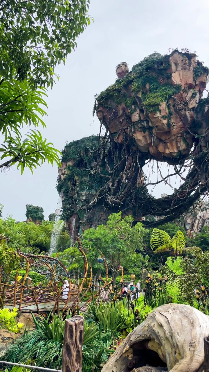Disney's Animal Kingdom, Orlando Florida
