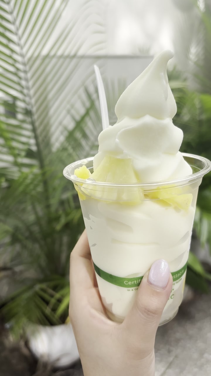 Video review of The Pineapple Hut