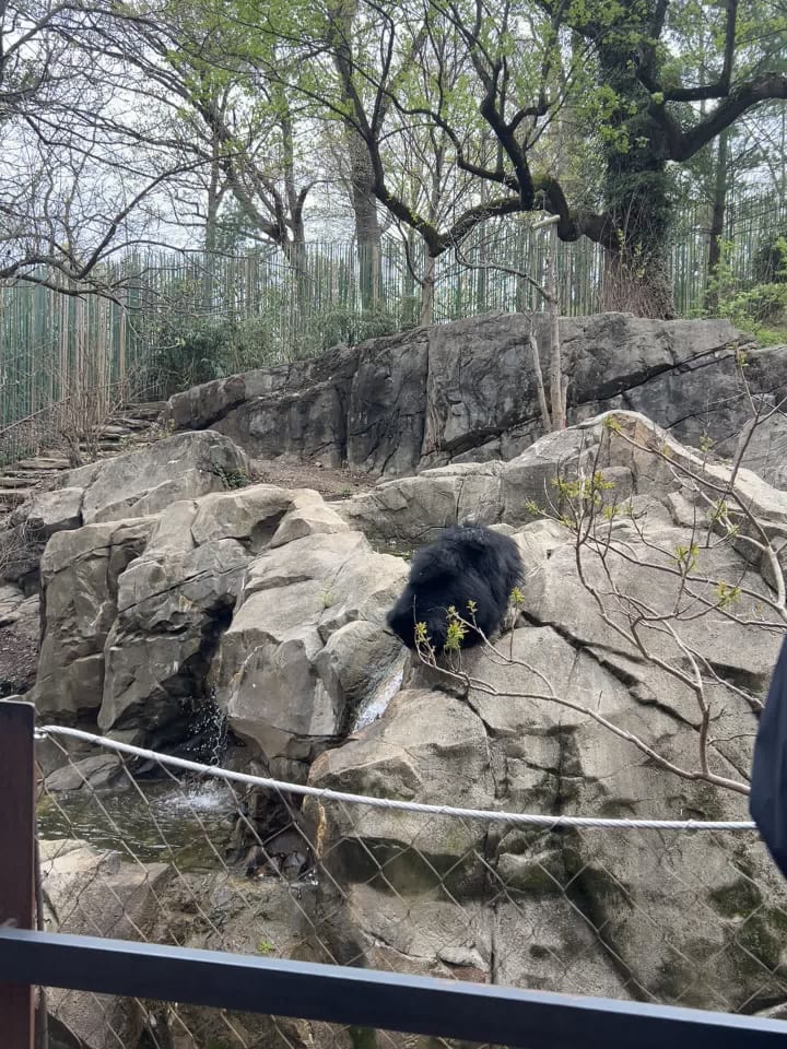 Smithsonian Conservation Biology Institute