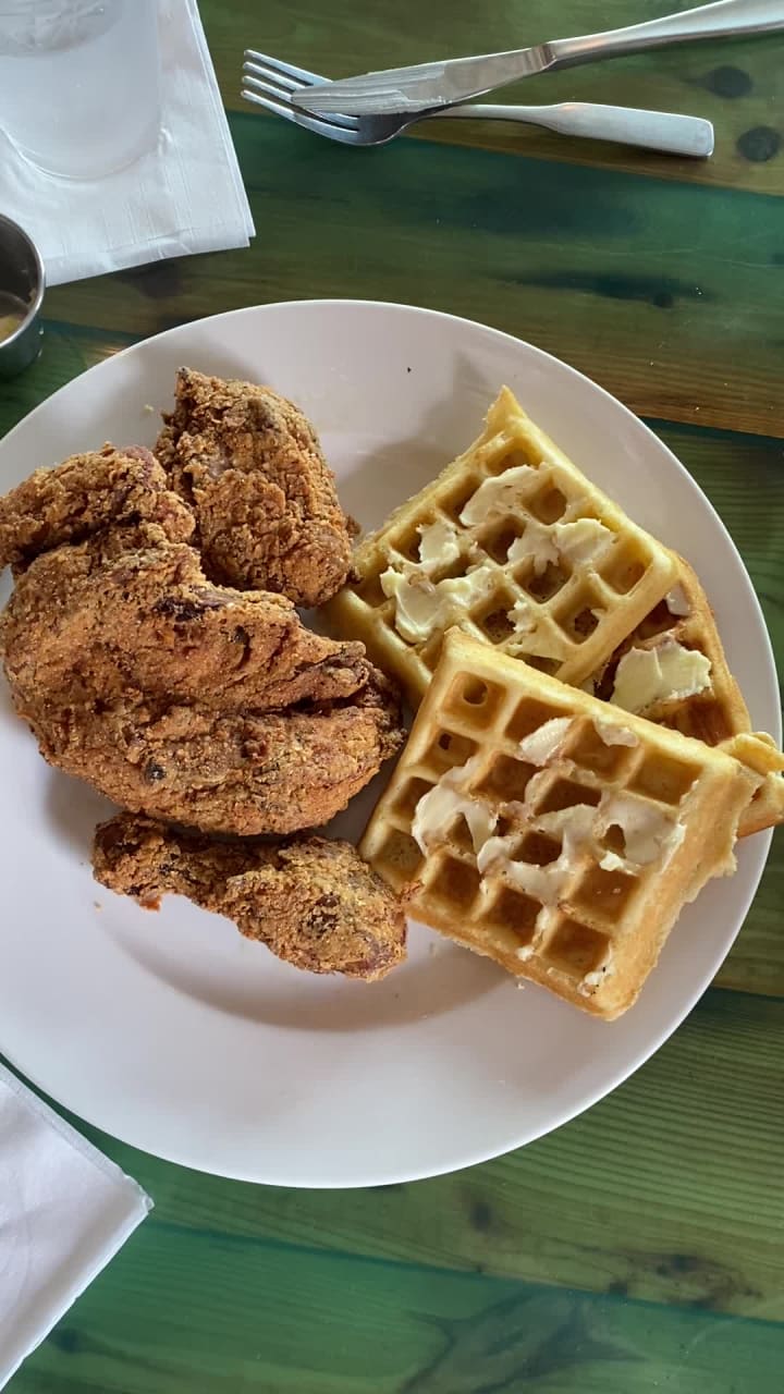 Video review of Harold's