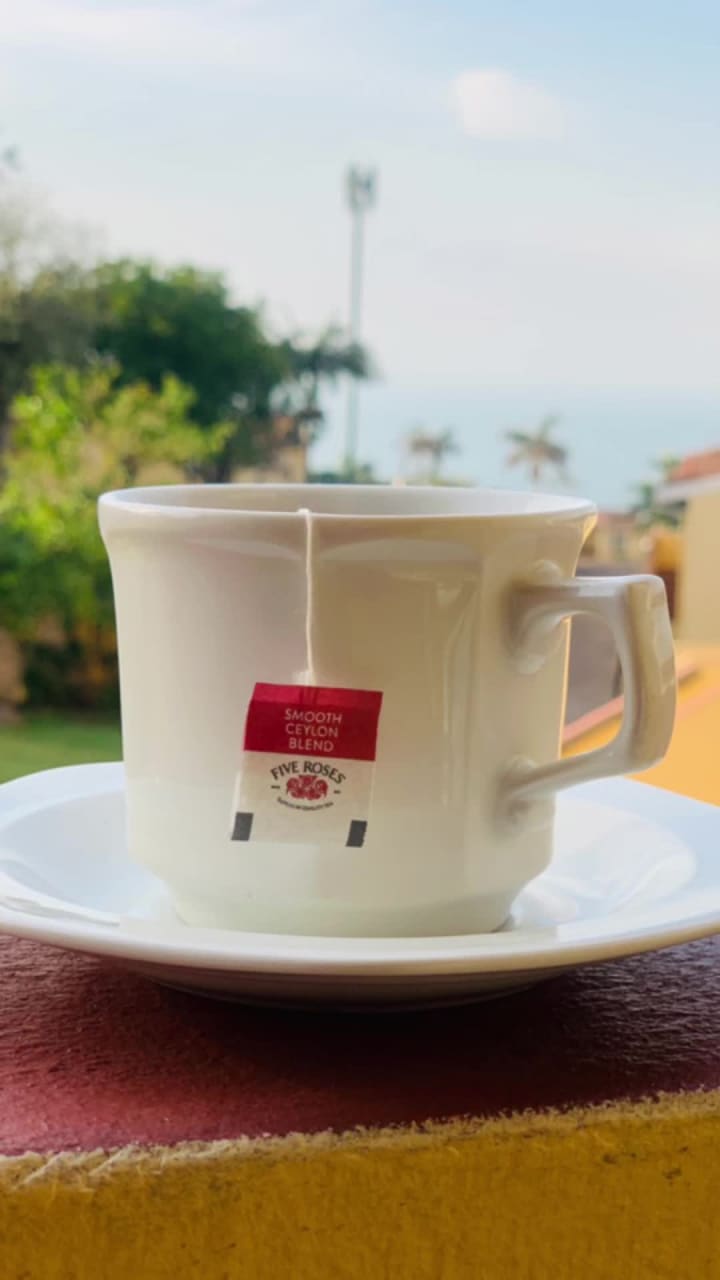 Charka's Rock Chalets