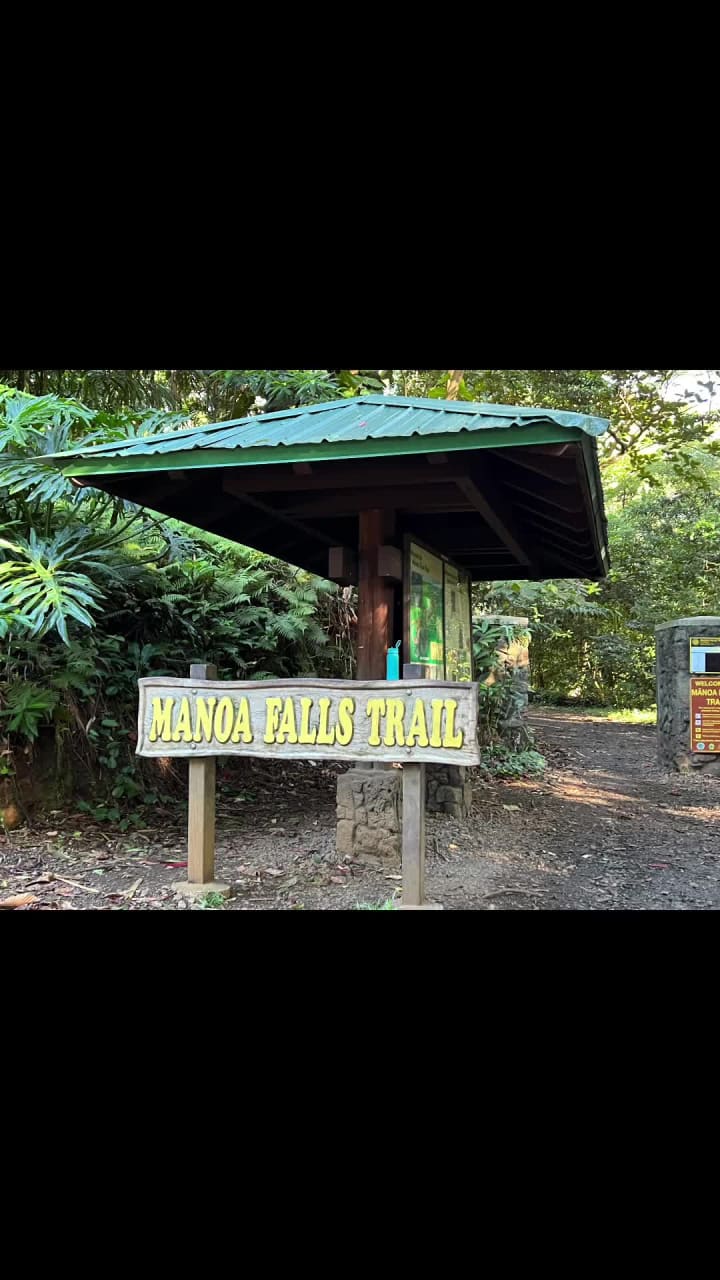 Mānoa Falls Trail