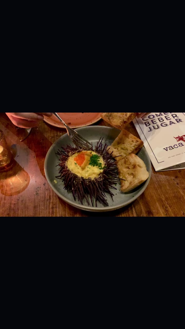 Video review of Vaca