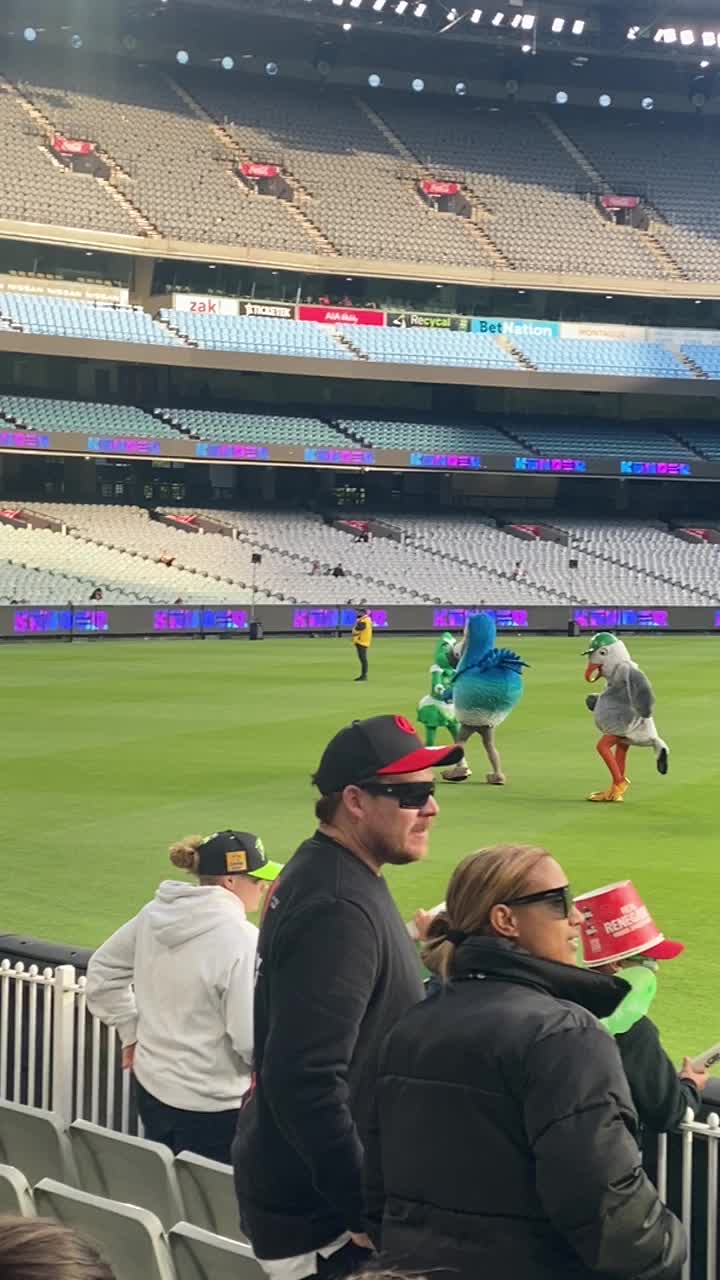Video review of Melbourne Cricket Ground (MCG)