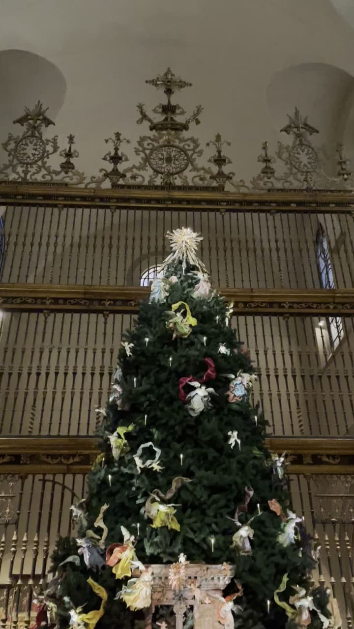 Video review of Metropolitan Museum of Art