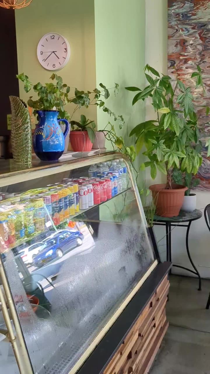 Trees Organic Coffee