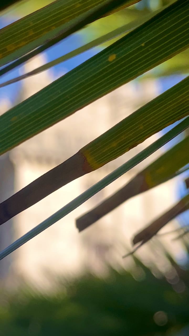 Video review of Belém Tower (Torre de Belém)