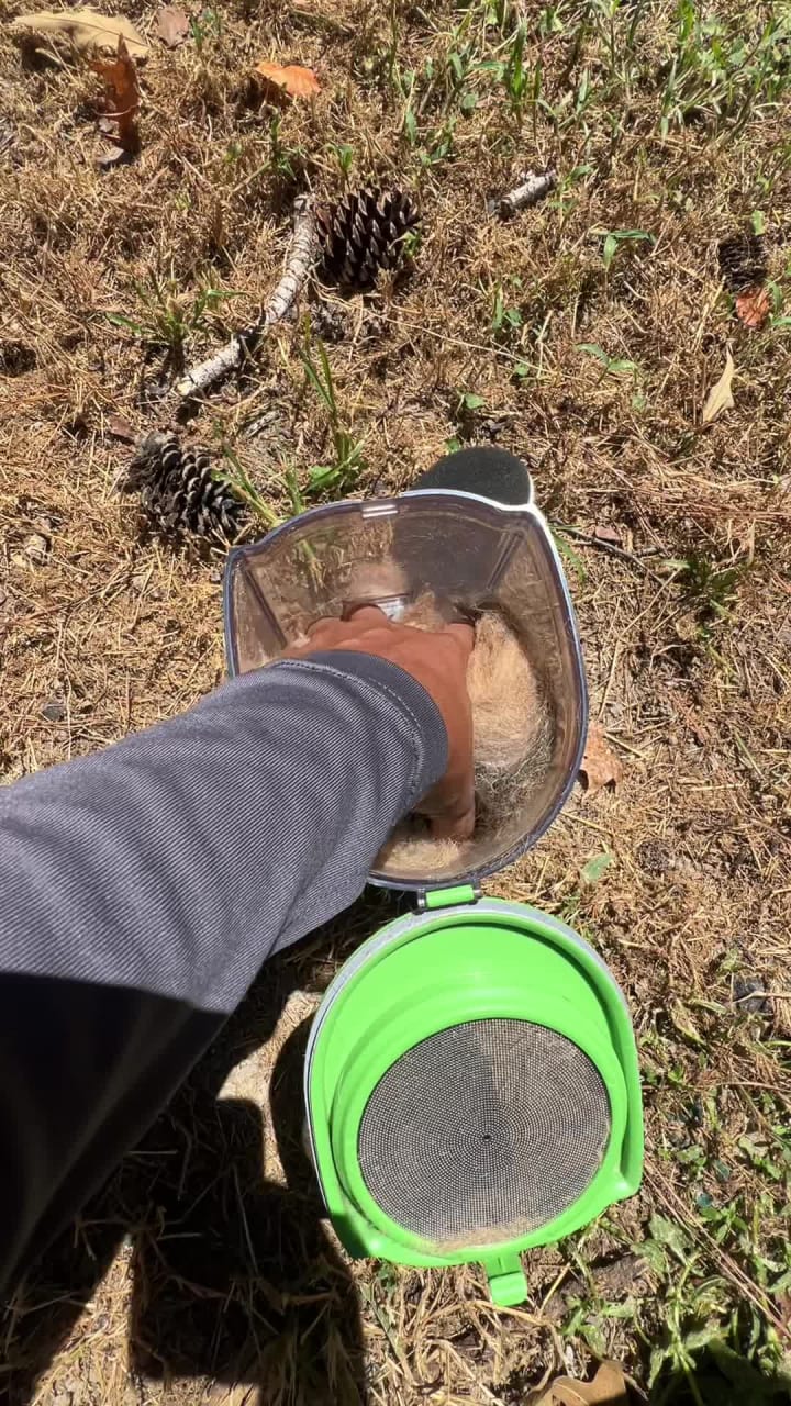 Video review of PetSmart