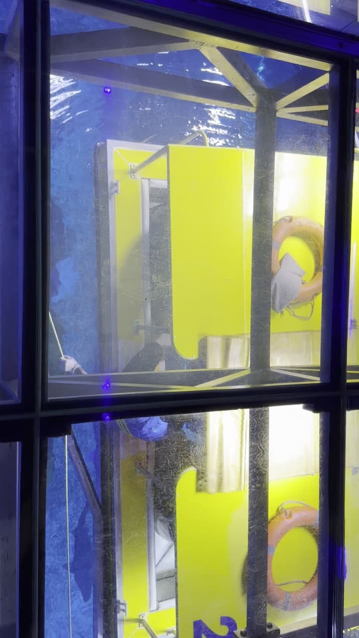 Dubai Aquarium (حوض دبي للأسماك)