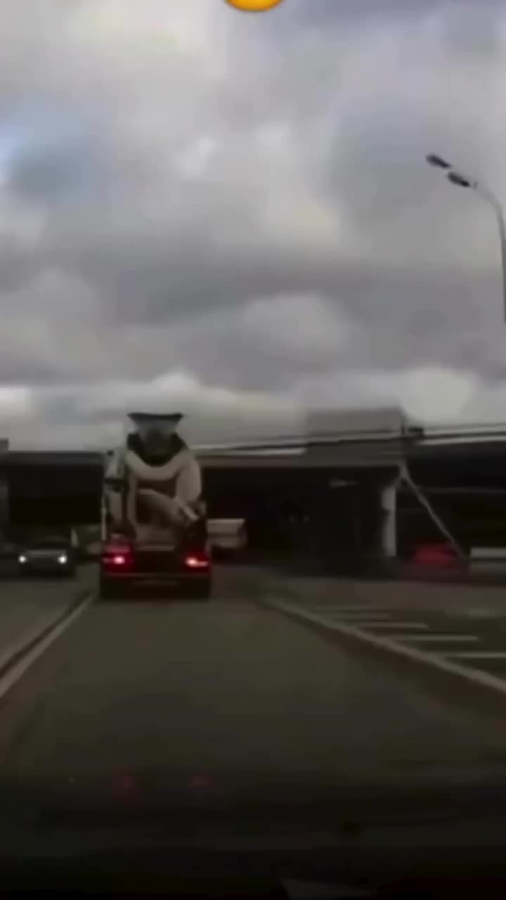 Charleys Cheesesteaks and Wings