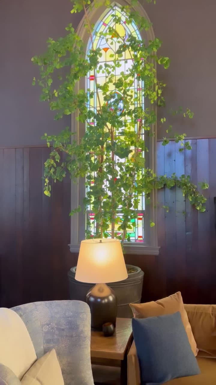 John Anthony Vineyards