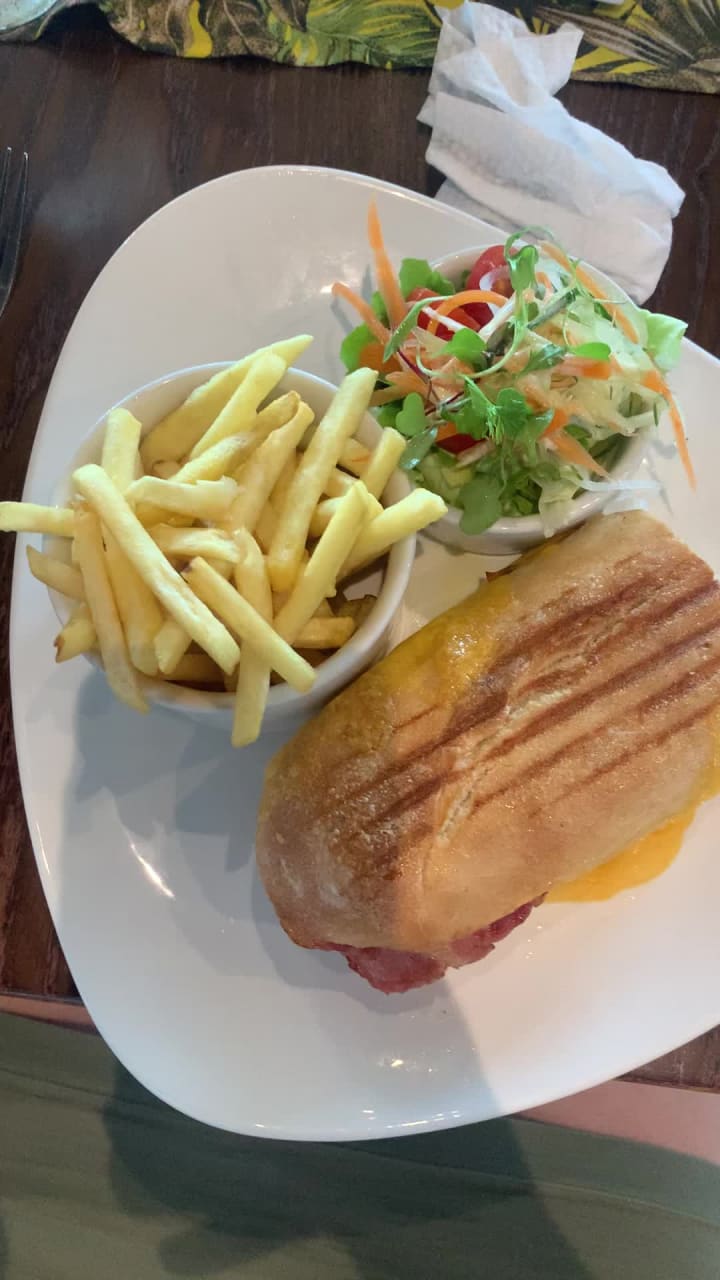 Video review of Fig Tree