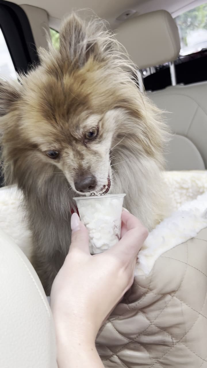 Video review of Starbucks