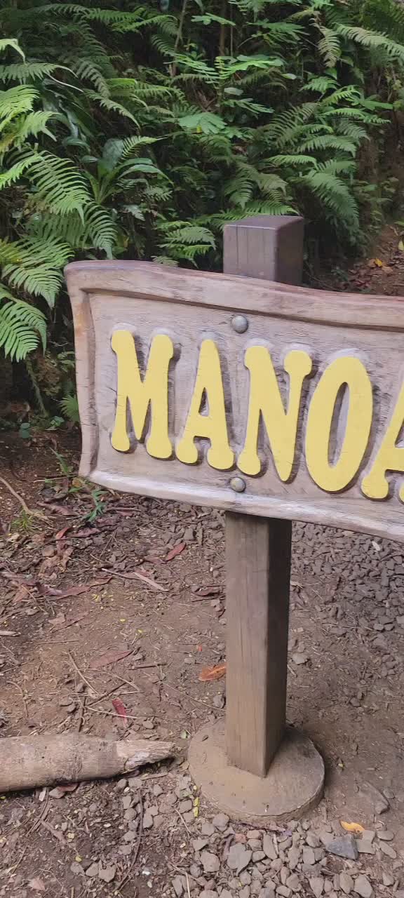 Manoa Falls Trail
