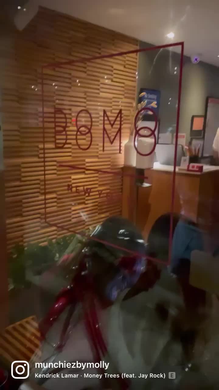 Video review of DomoDomo