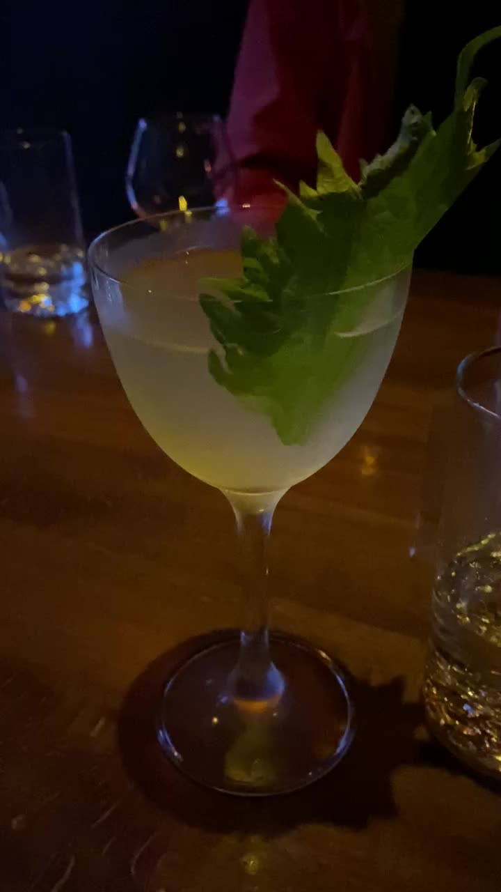 Video review of Bar Goto