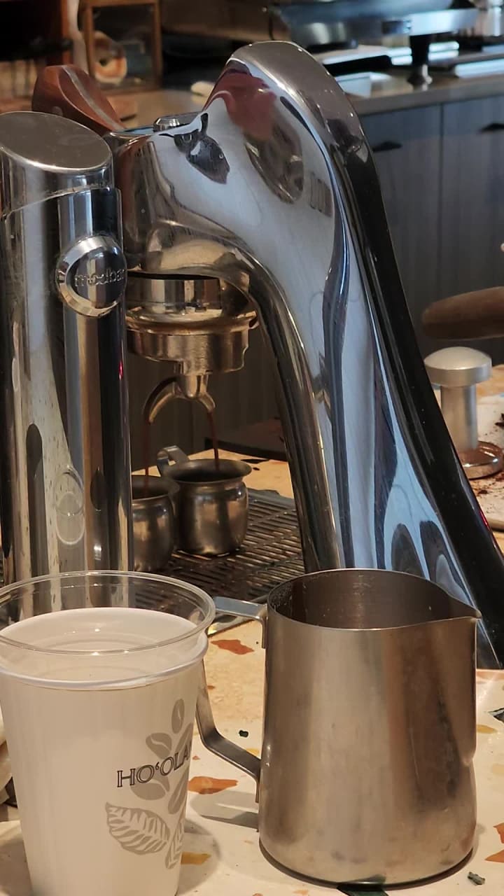 Video review of Turtle Bay Resort