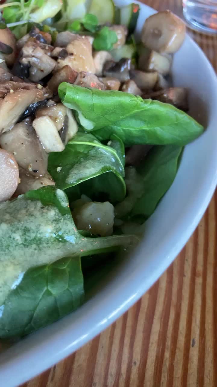 Video review of Retreat