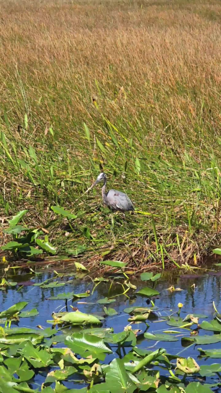 Ernest F. Coe Visitor Center