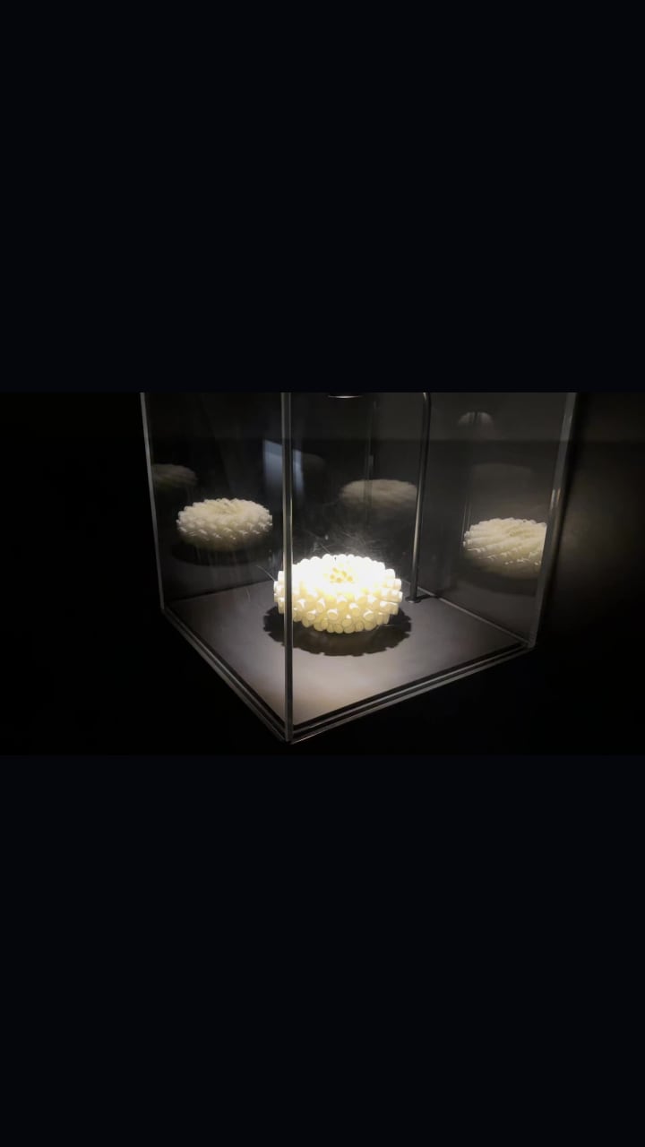 Museum of Illusions - Las Vegas