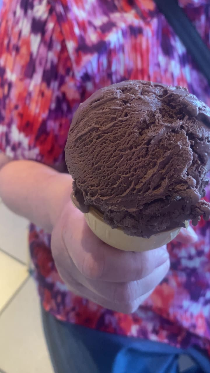 Video review of Baskin-Robbins