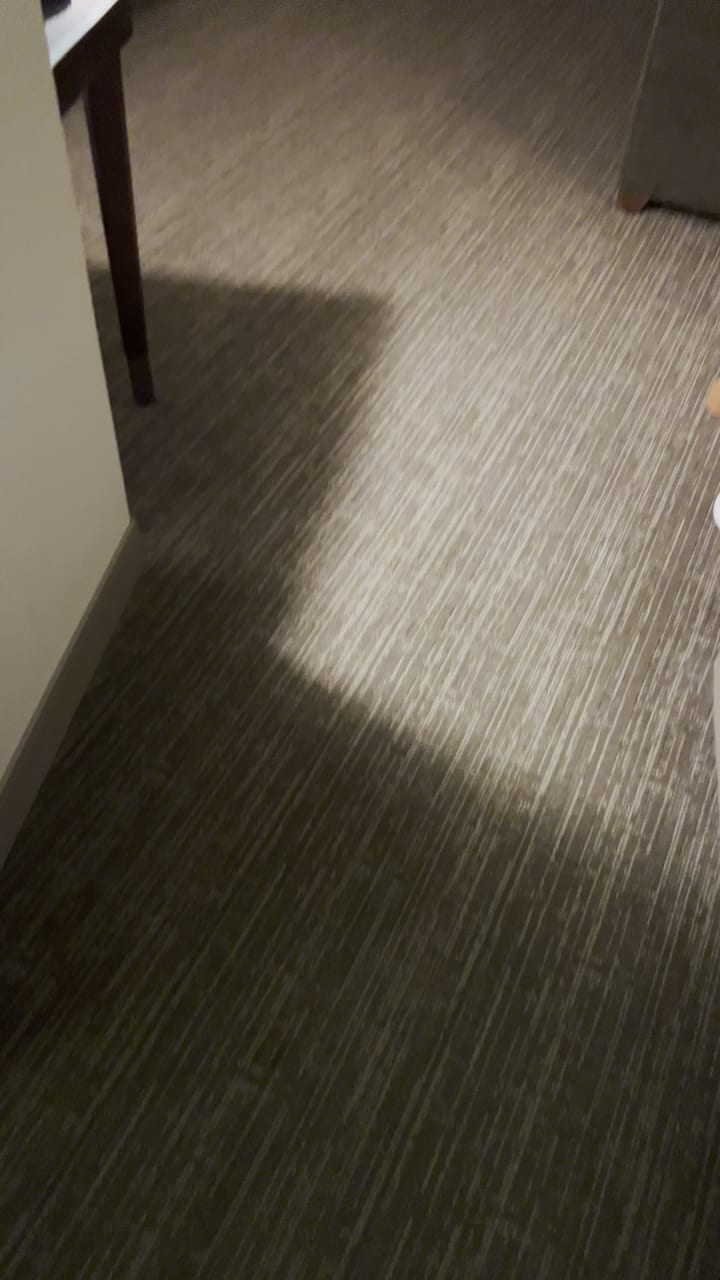 Video review of The Westin Seattle