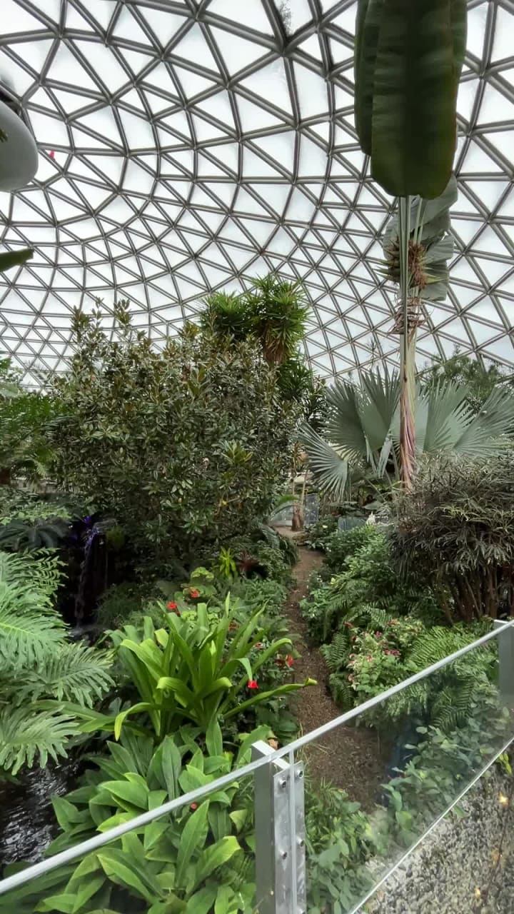 Video review of Bloedel Conservatory