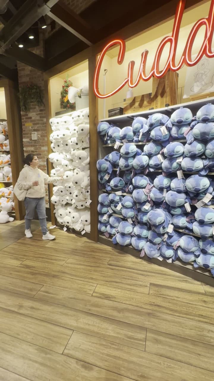 Video review of World of Disney