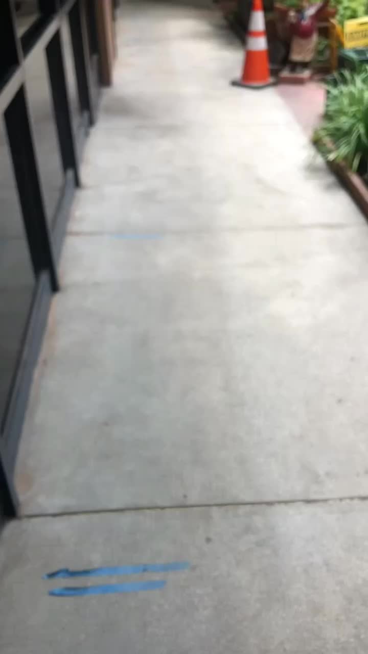 Video review of Celestino