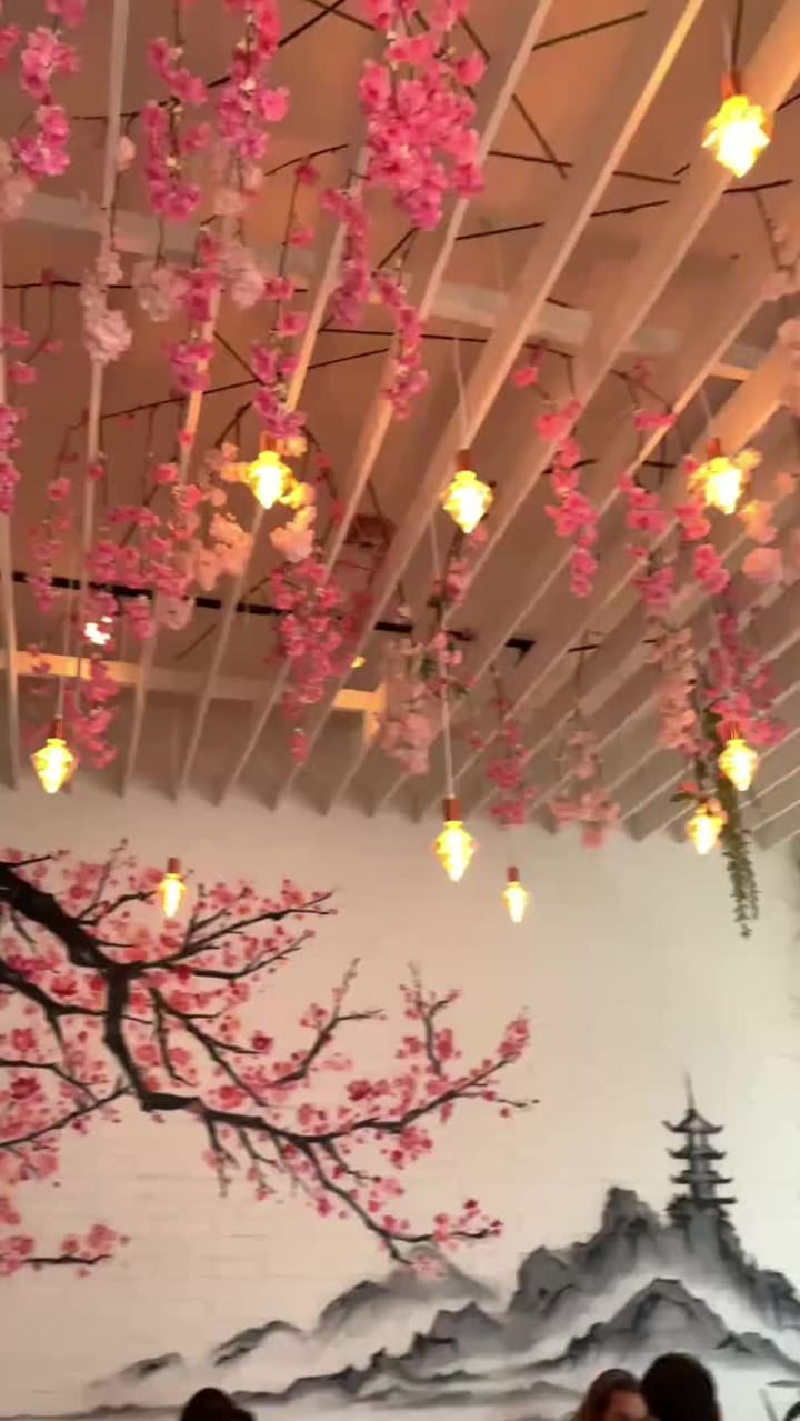 Video review of Saku Hoboken