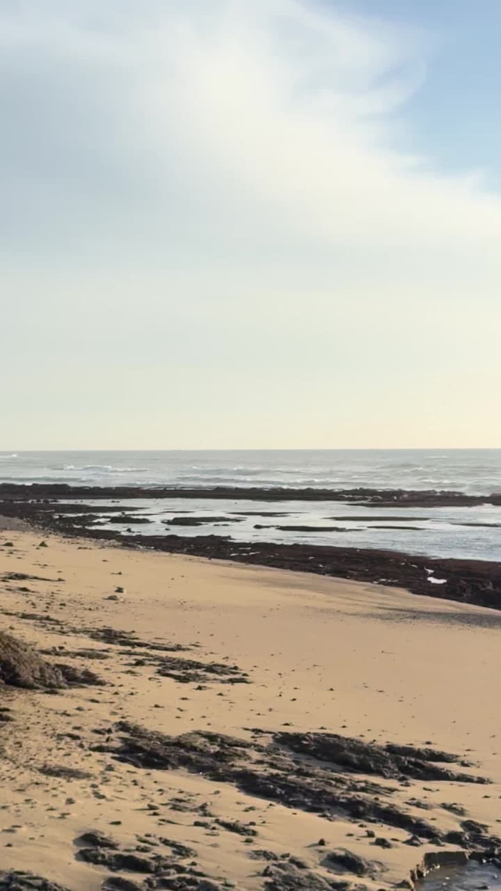 Video review of Moss Beach Distillery