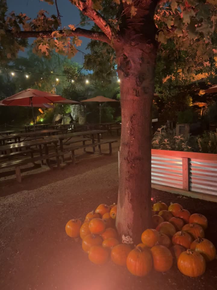 Video review of Cosmic Coffee + Beer Garden