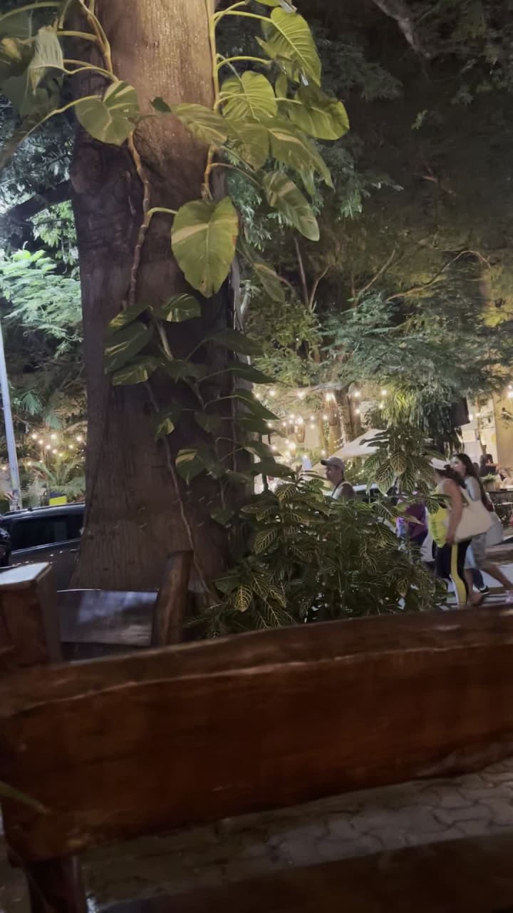 Video review of La perla pixán cuisine & mezcal store