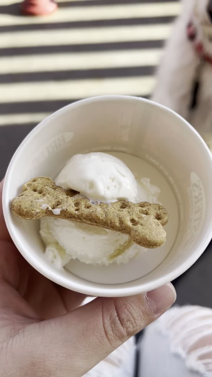 Bruster's Real Ice Cream