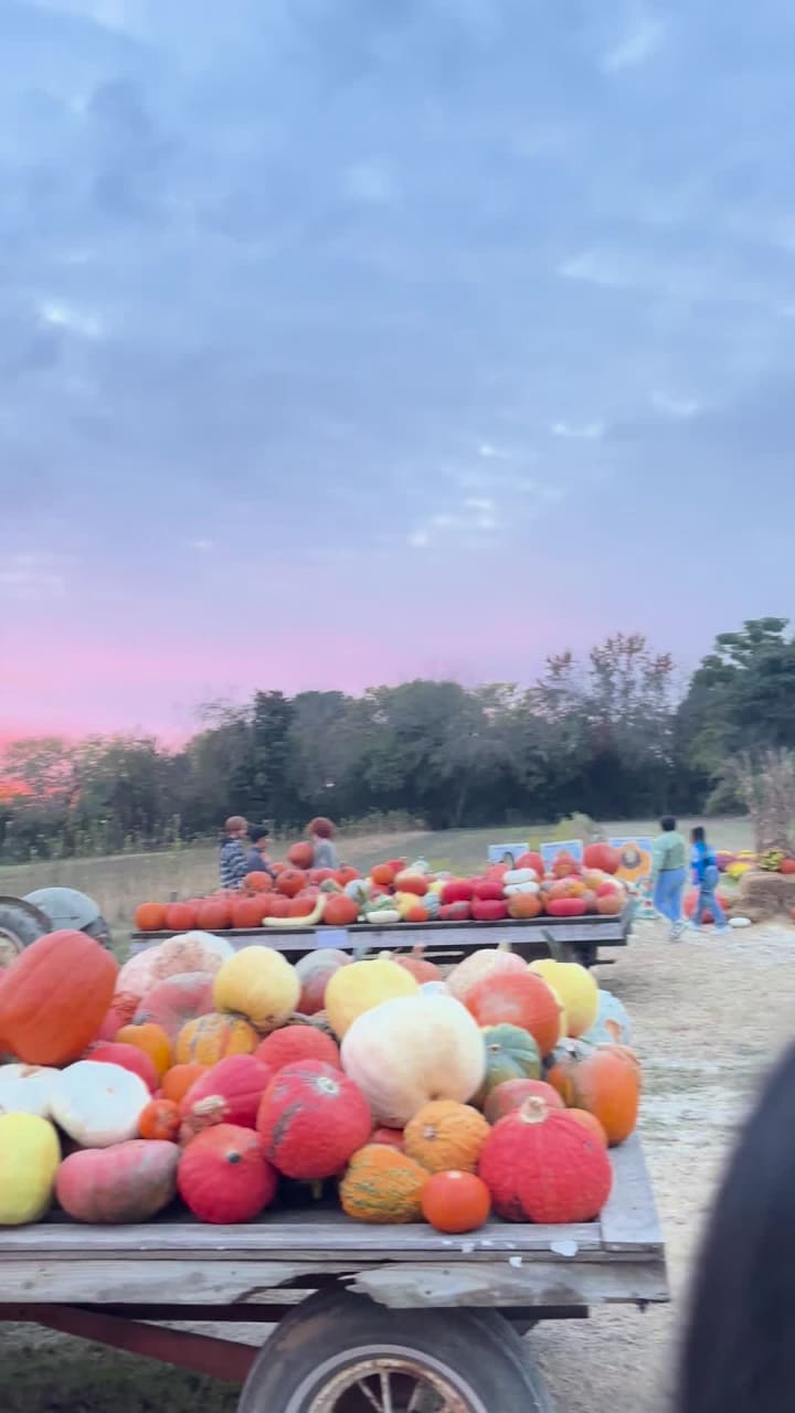 Gallmeyer Farms The Pumpkin Patch