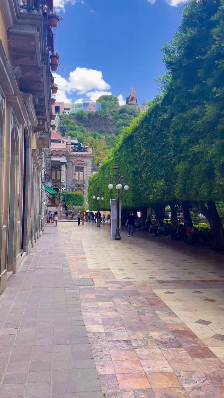 Bar Tradicional Luna