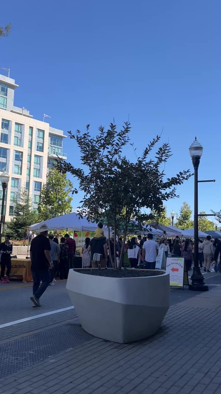 Video review of Teazzi