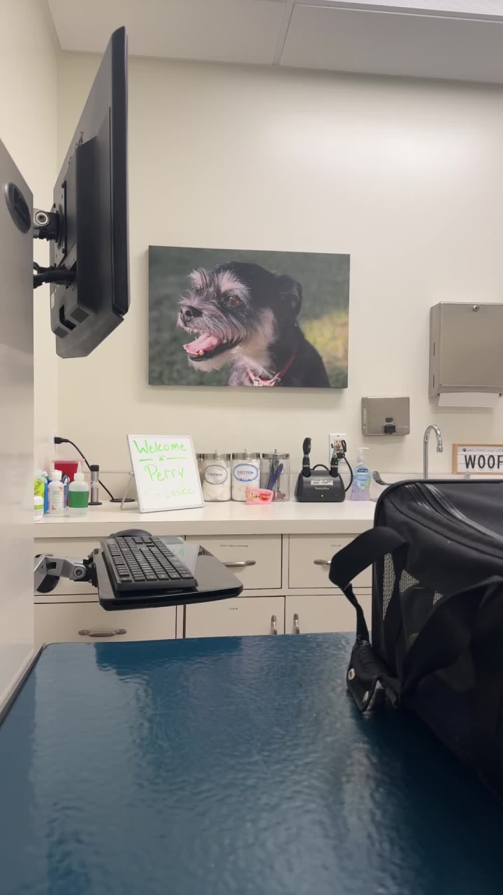 Media City Animal Hospital